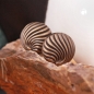 Preview: Clip Ohrring ca. 21mm Muscheldekor altgoldfarben matt Kunststoff