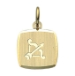 Preview: Anhänger Sternzeichen eckig 11x10mm Schütze 8Kt 333 GOLD