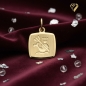 Preview: Anhänger Sternzeichen Wassermann Gold