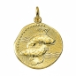 Preview: Anhänger Sternzeichen Relief rund 18mm Fische 8Kt 333 GOLD