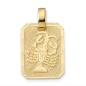 Preview: Anhänger Sternzeichen eckig 12x16mm Krebs 8Kt 333 GOLD