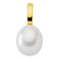 Preview: Einhänger Süßwasserperle oval 10,2x8,7mm 14Kt 585 GOLD