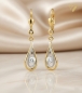 Preview: Brisur Ohrhänger bicolor Zirkonia 8Kt 333 GOLD