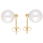 Preview: Ohrstecker mit Brillant