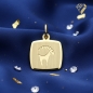 Preview: Anhänger Sternzeichen Steinbock Gold