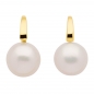 Preview: Boutons Ohrringe Zuchtperle 8Kt 333 GOLD