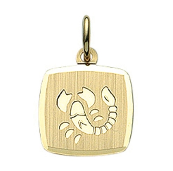 Anhänger Sternzeichen eckig 11x10mm Skorpion 8Kt 333 GOLD