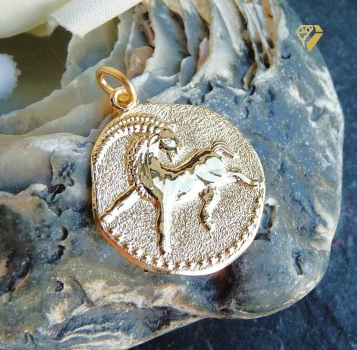 Anhänger Sternzeichen Steinbock Relief rund 18mm 8Kt 333 GOLD