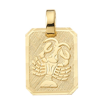 Anhänger Sternzeichen eckig 12x16mm Krebs 8Kt 333 GOLD