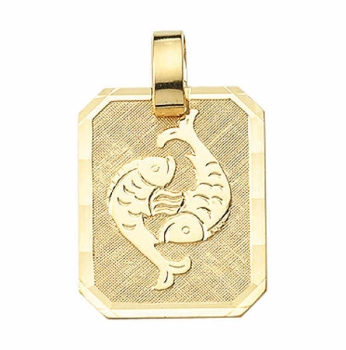 Anhänger Sternzeichen eckig 15x19mm Fische 8Kt 333 GOLD