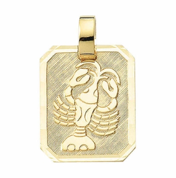Anhänger Sternzeichen eckig 15x19mm Krebs 8Kt 333 GOLD