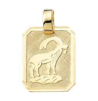 Anhänger Sternzeichen eckig 15x19mm Steinbock 8Kt 333 GOLD