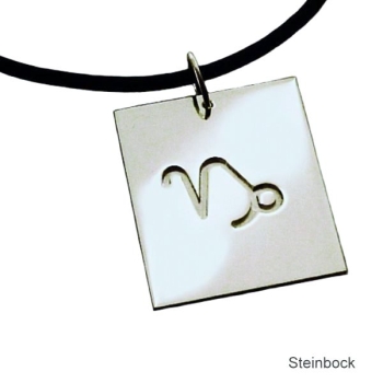 Anhänger Sternzeichen Steinbock Symbol Silber 925