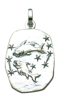 Anhänger Sternzeichen Fische Relief 18x23mm Silber 925