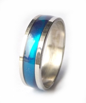 Ring Edelstahl mit Kunststoffeinlage aqua