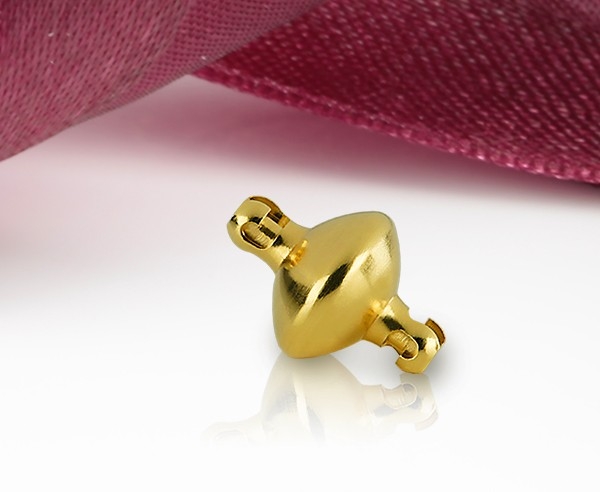 Adapter für Wechselschliessen Linse
