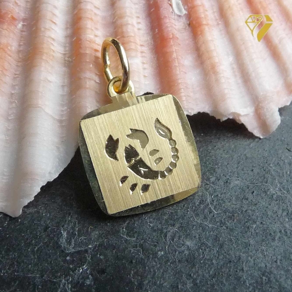Anhänger Sternzeichen eckig 11x10mm Skorpion 8Kt 333 GOLD