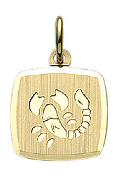 Anhänger Sternzeichen eckig 11x10mm Skorpion 8Kt 333 GOLD
