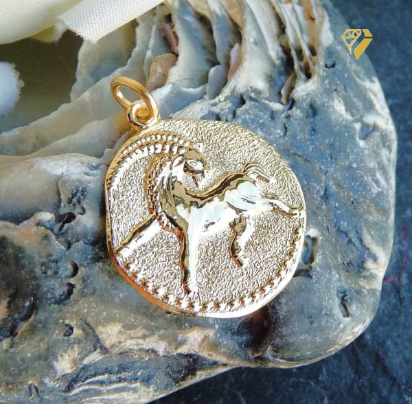 Anhänger Sternzeichen Steinbock Relief rund 18mm 8Kt 333 GOLD