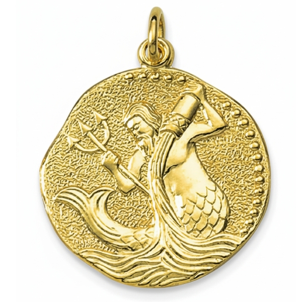 Anhänger Sternzeichen Wassermann Relief rund 18mm 8Kt 333 GOLD