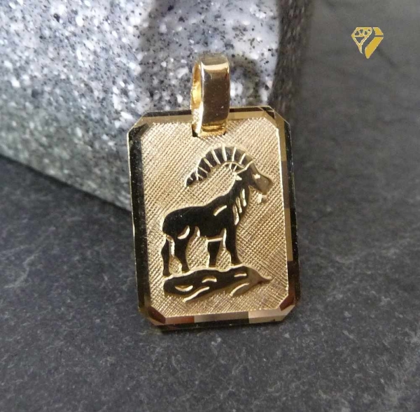 Anhänger Sternzeichen eckig 12x16mm Steinbock 8Kt 333 GOLD