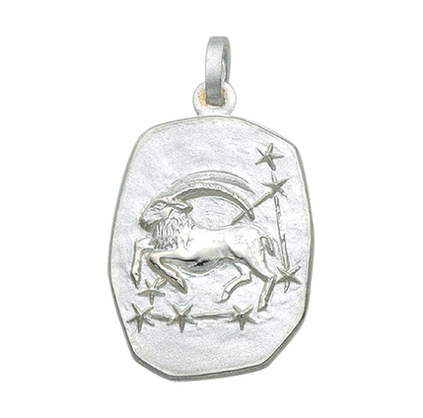 Anhänger Sternzeichen Steinbock Relief 18x23mm Silber 925