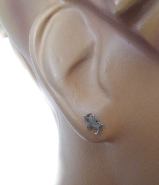 Ohrstecker Sternzeichen Schütze Edelstahl