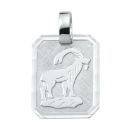 Anhänger Sternzeichen Steinbock eckig 16x19mm Silber 925