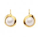 Boutons Ohrringe Zuchtperle 14Kt 585 GOLD