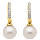 Creolen Brillanten und Swasserperle 14 Kt 585 GOLD