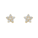 Stecker kleine Blüte mit Zirkonia 8Kt 333 GOLD